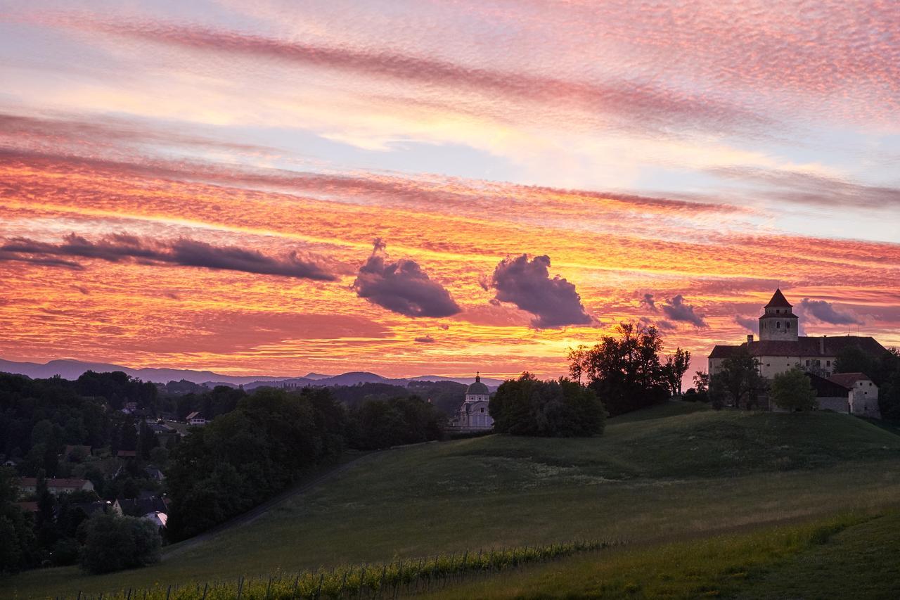 Loisium Wine & Spa Hotel Suedsteiermark Ehrenhausen Eksteriør billede
