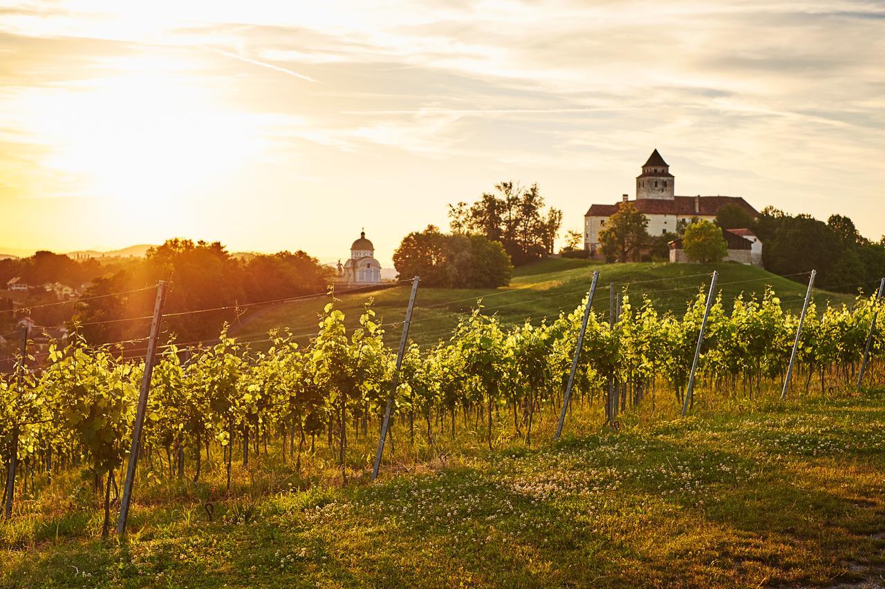 Loisium Wine & Spa Hotel Suedsteiermark Ehrenhausen Eksteriør billede