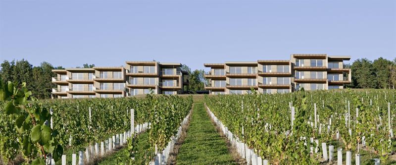 Loisium Wine & Spa Hotel Suedsteiermark Ehrenhausen Eksteriør billede